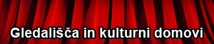 Gledališča in kulturni domovi